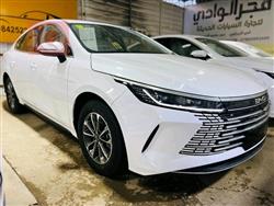 بي واي دي ديستروير 05